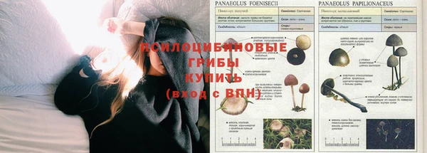 гидропоника Алексин