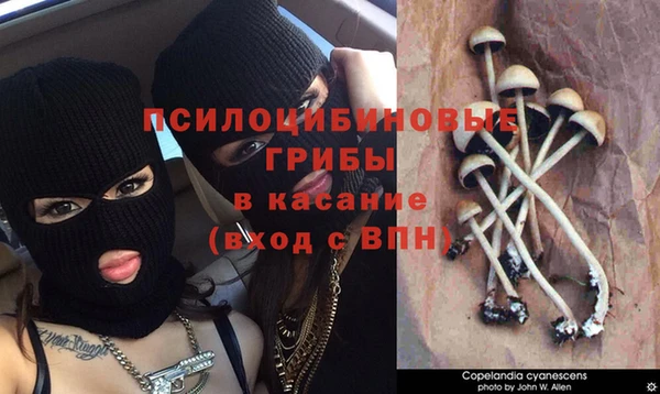 jwh Алексеевка